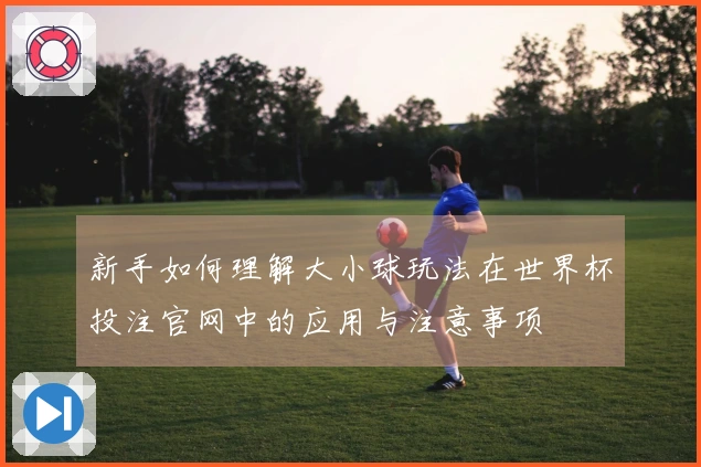 新手如何理解大小球玩法在世界杯投注官网中的应用与注意事项