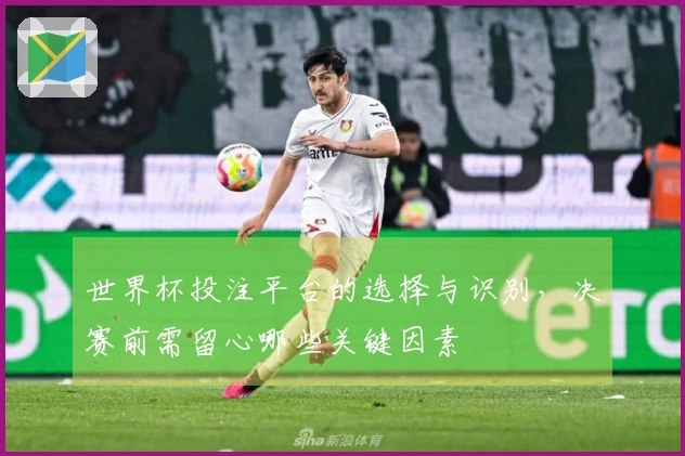 世界杯投注平台的选择与识别，决赛前需留心哪些关键因素