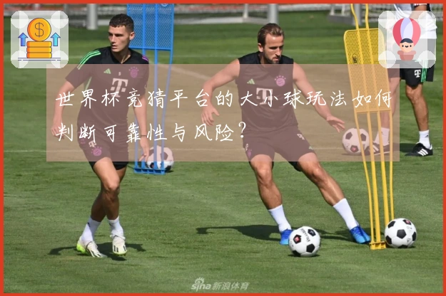 世界杯竞猜平台的大小球玩法如何判断可靠性与风险？