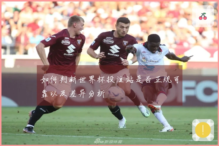 如何判断世界杯投注站是否正规可靠以及差异分析