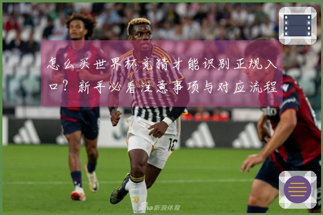 怎么买世界杯竞猜才能识别正规入口？新手必看注意事项与对应流程