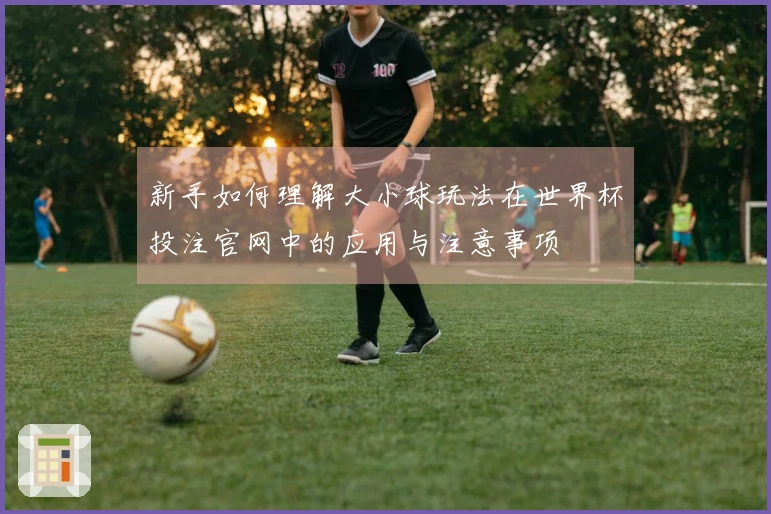 新手如何理解大小球玩法在世界杯投注官网中的应用与注意事项