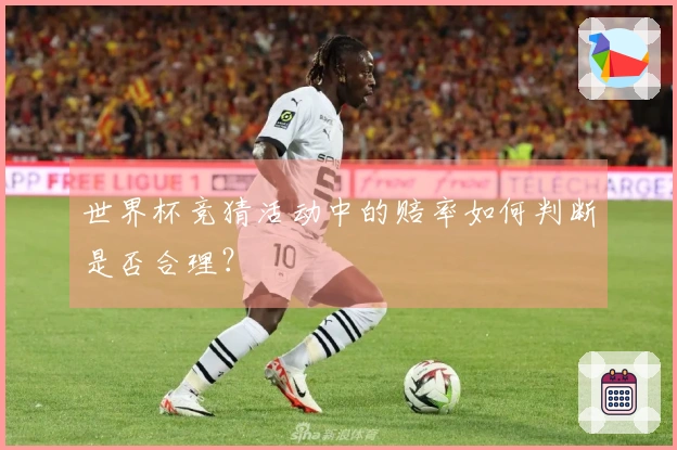 世界杯竞猜活动中的赔率如何判断是否合理？