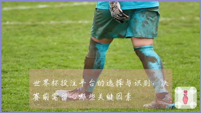 世界杯投注平台的选择与识别，决赛前需留心哪些关键因素