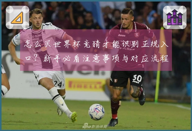 怎么买世界杯竞猜才能识别正规入口？新手必看注意事项与对应流程