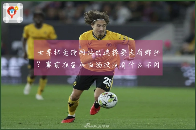 世界杯竞猜网站的选择要点有哪些？赛前准备和临场投注有什么不同？