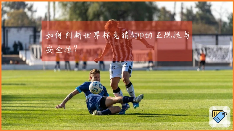 如何判断世界杯竞猜App的正规性与安全性？