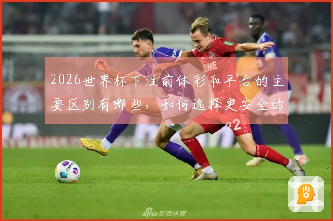2026世界杯下注前体彩和平台的主要区别有哪些，如何选择更安全的途径？