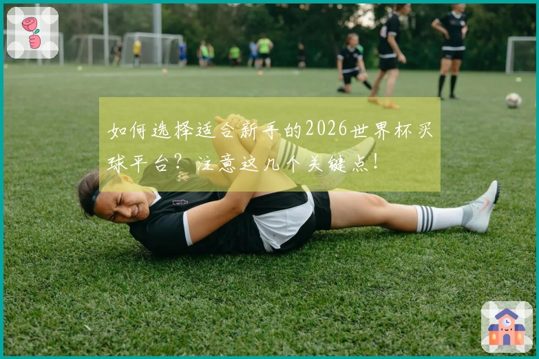 如何选择适合新手的2026世界杯买球平台？注意这几个关键点！