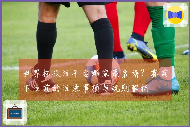 世界杯投注平台哪家最靠谱?赛前下注前的注意事项与规则解析