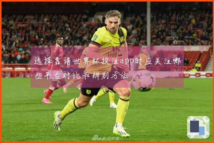 选择靠谱世界杯投注app时应关注哪些平台对比和辨别方法