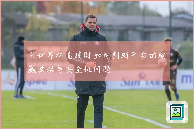 买世界杯竞猜时如何判断平台的输赢波动与安全性问题