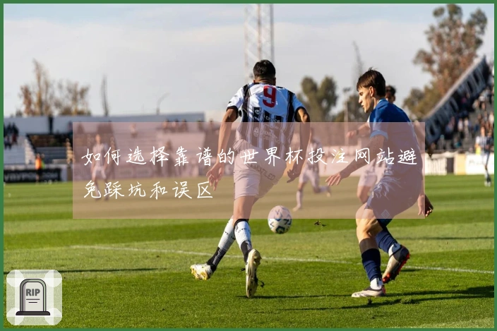 如何选择靠谱的世界杯投注网站避免踩坑和误区