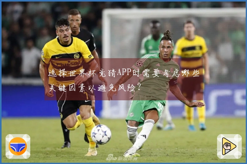 选择世界杯竞猜APP时需要考虑哪些关键因素以避免风险？