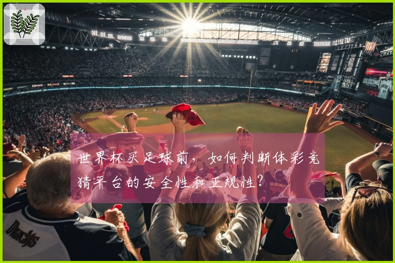 世界杯买足球前，如何判断体彩竞猜平台的安全性和正规性？