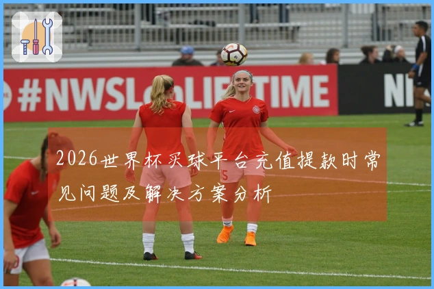 2026世界杯买球平台充值提款时常见问题及解决方案分析