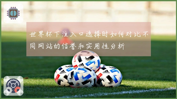 世界杯下注入口选择时如何对比不同网站的信誉和实用性分析
